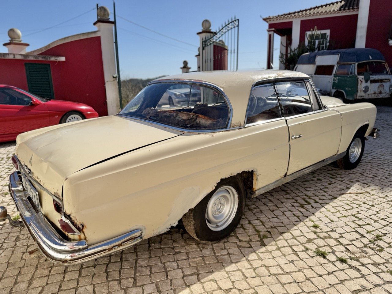 IMG_7004 – grande.jpeg