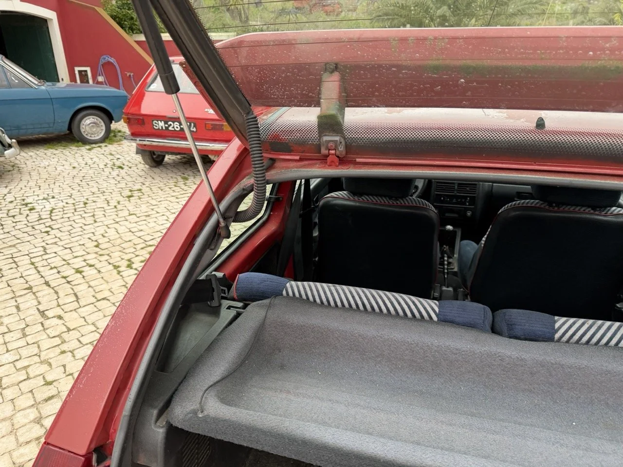 IMG_3614 – grande.jpeg