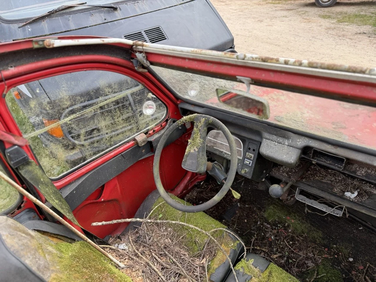 IMG_3854 – grande.jpeg