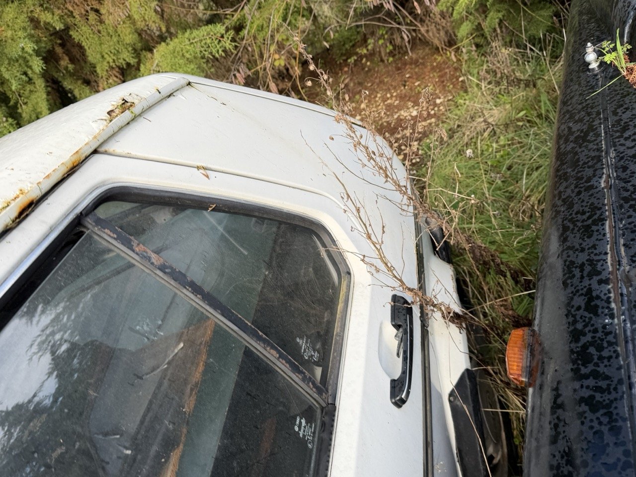 IMG_5182 – grande.jpeg