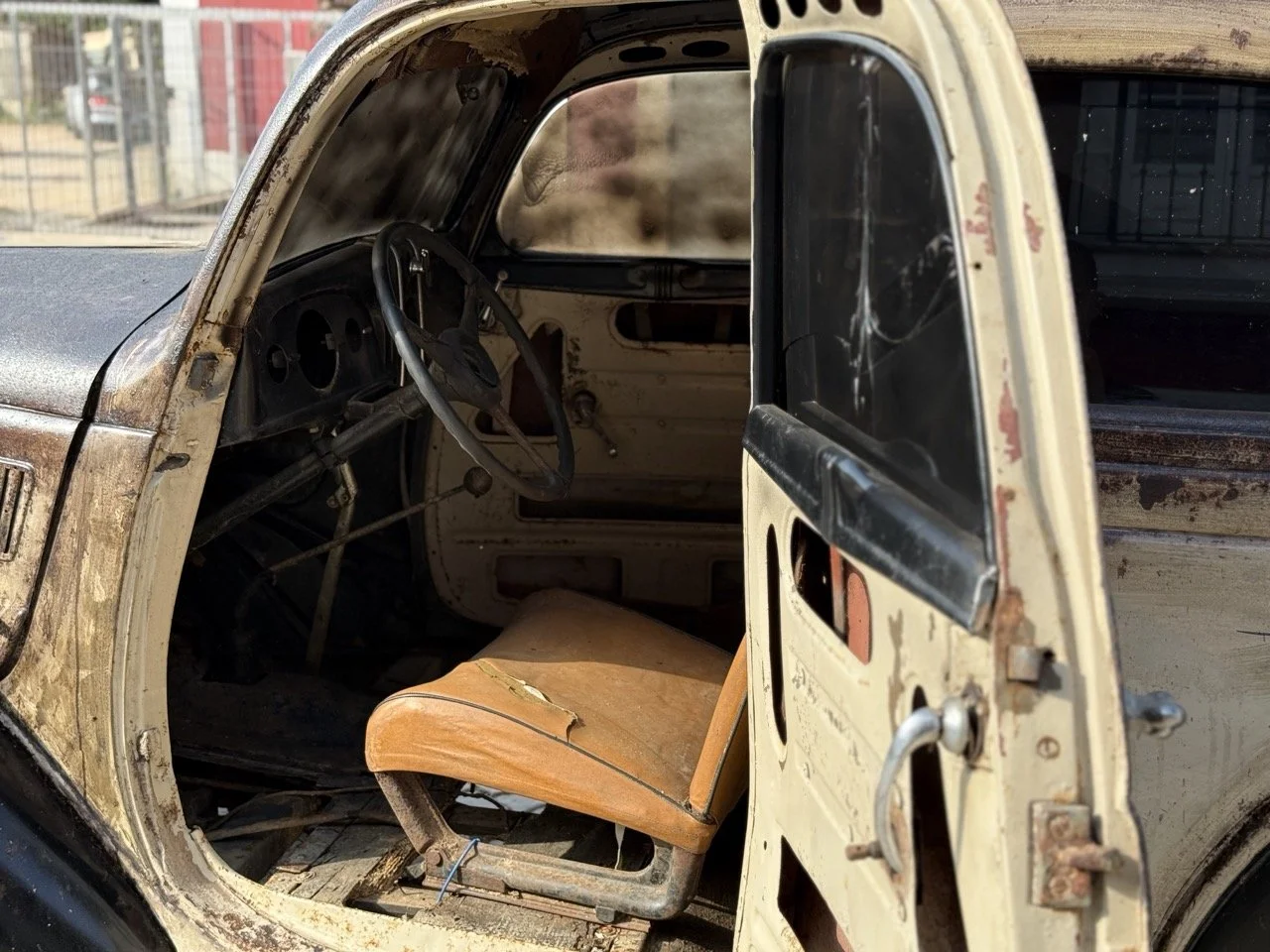 IMG_3683 – grande.jpeg