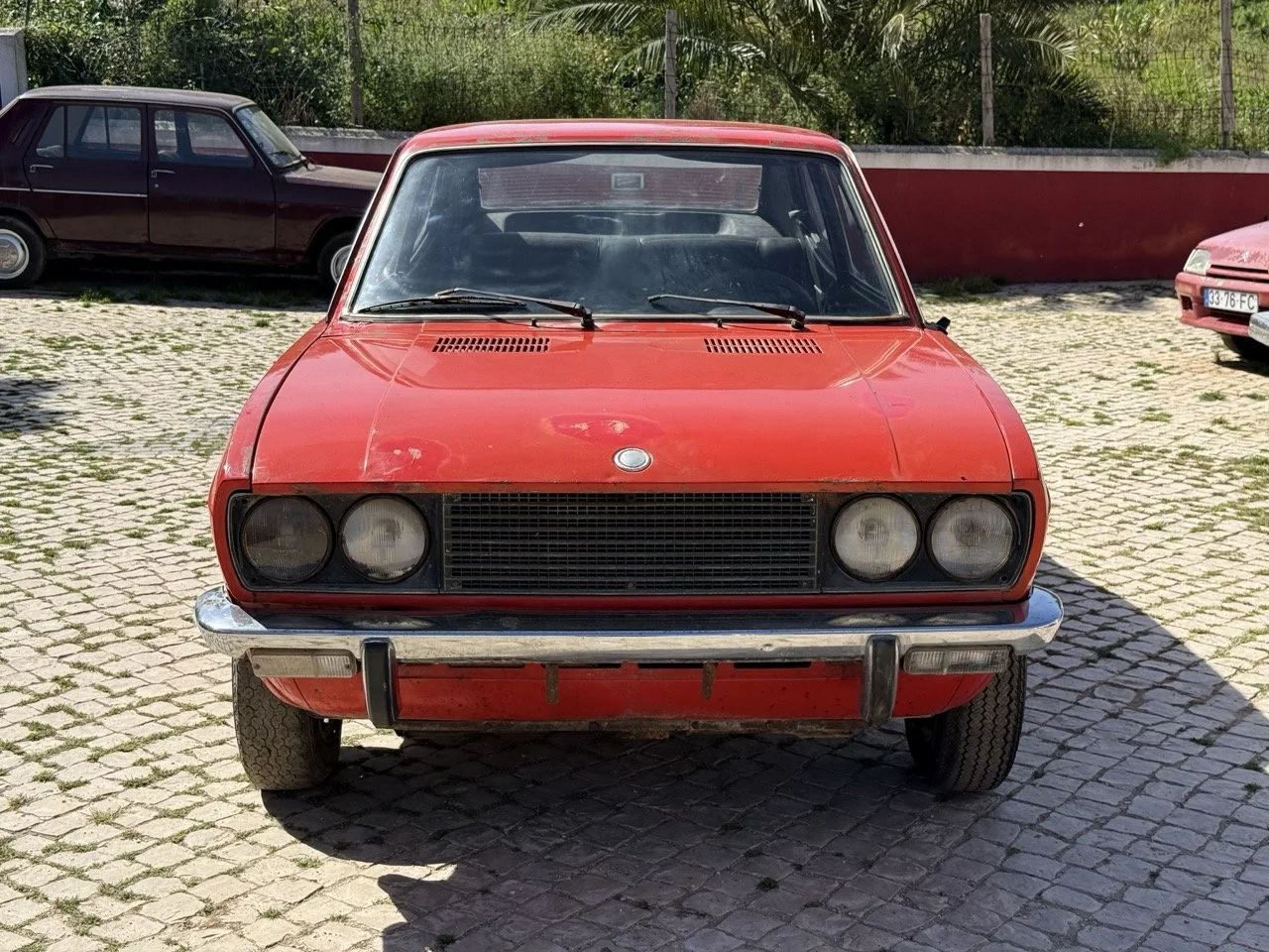 IMG_2249 – grande.jpeg