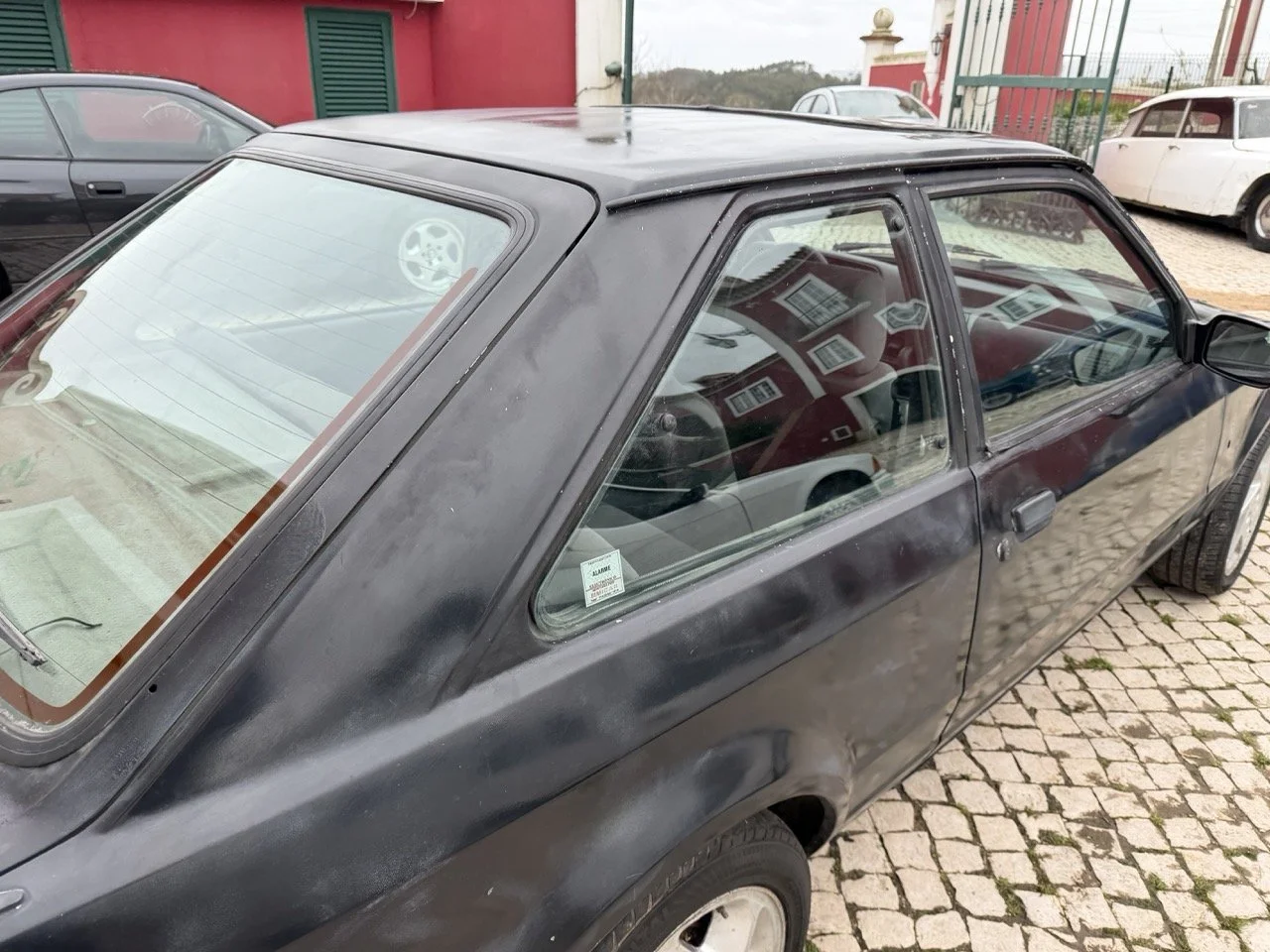 IMG_1315 – grande.jpeg