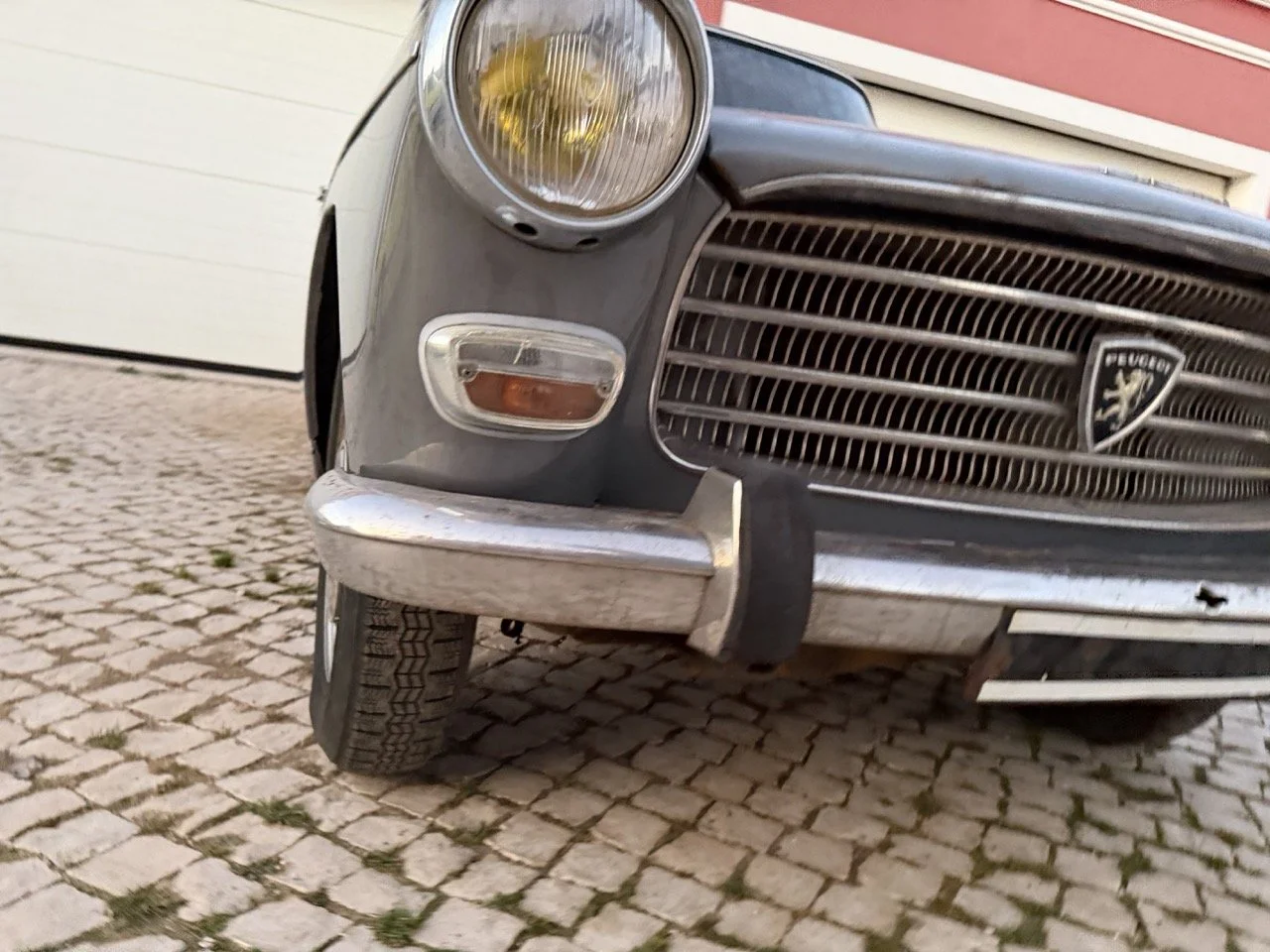 IMG_7543 – grande.jpeg