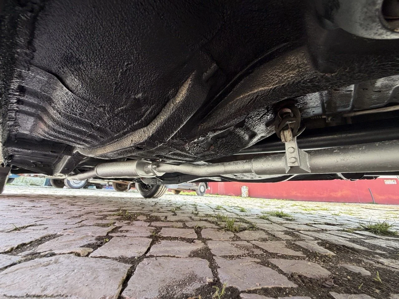 IMG_2464 – grande.jpeg