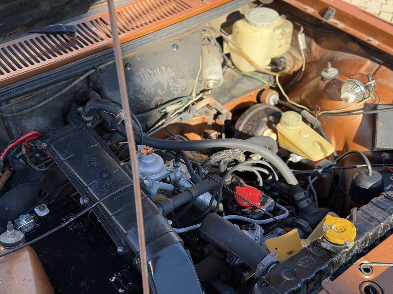 IMG_2396 – grande.jpeg