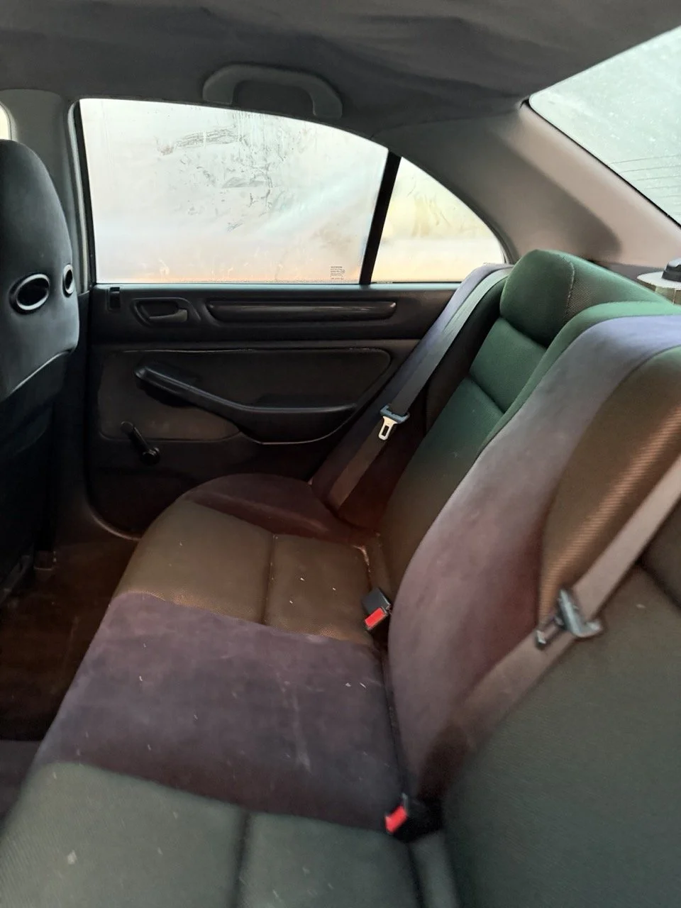 IMG_3746 – grande.jpeg