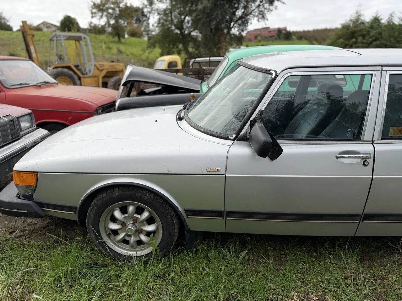 IMG_4985 – grande.jpeg