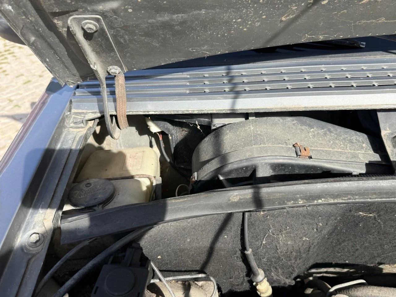 IMG_2604 – grande.jpeg