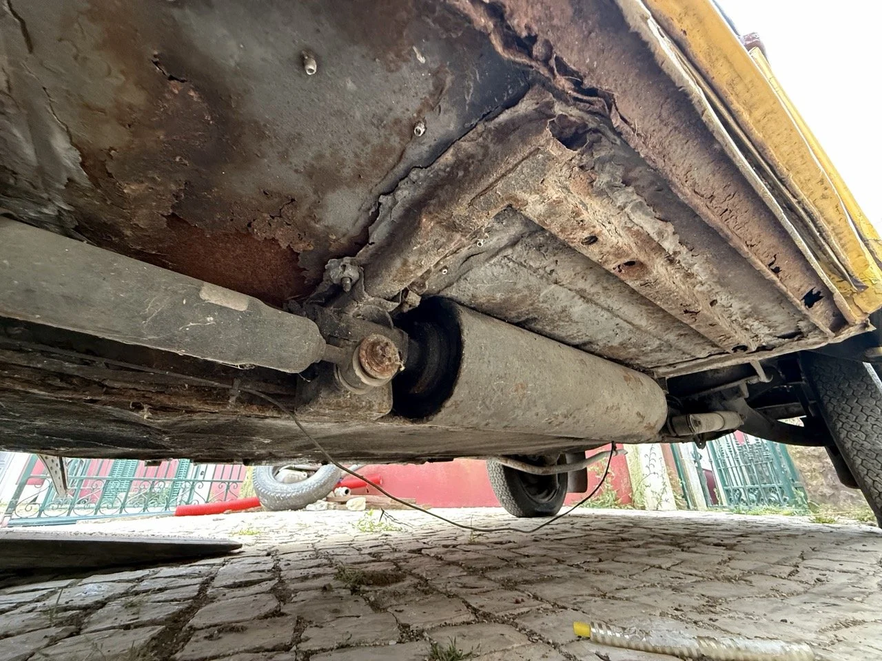 IMG_3821 – grande.jpeg