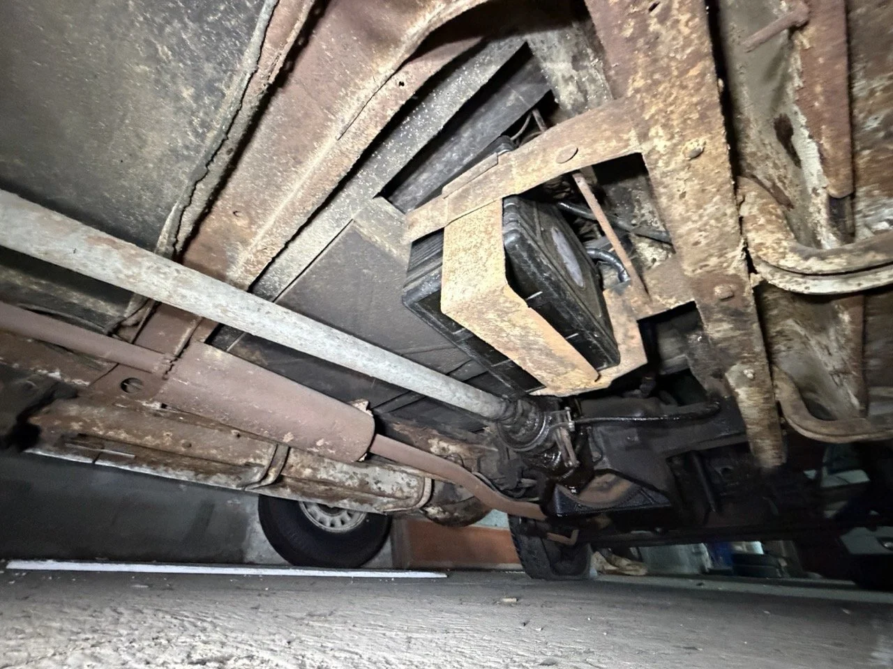 IMG_2502 – grande.jpeg