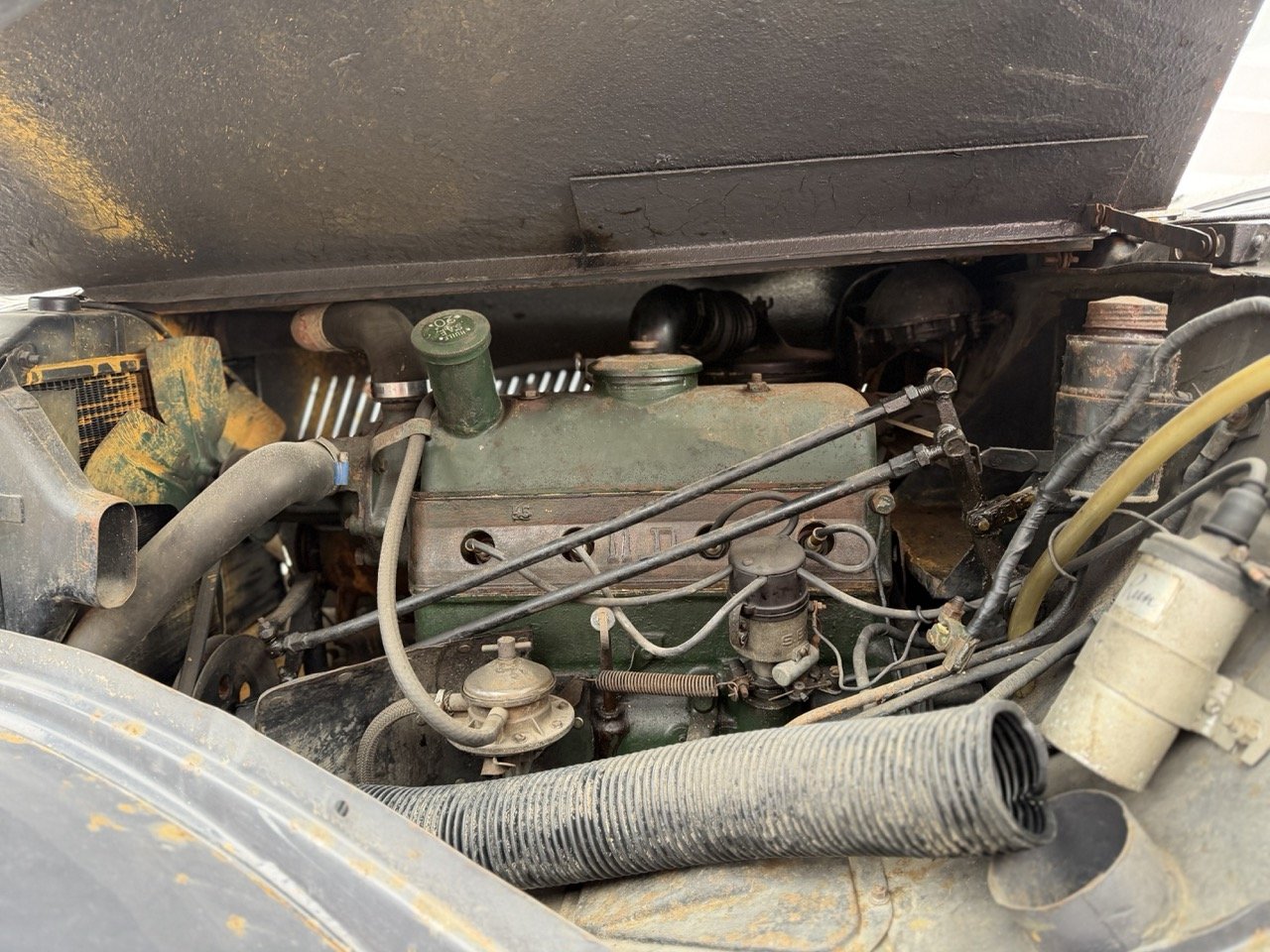 IMG_1854 – grande.jpeg