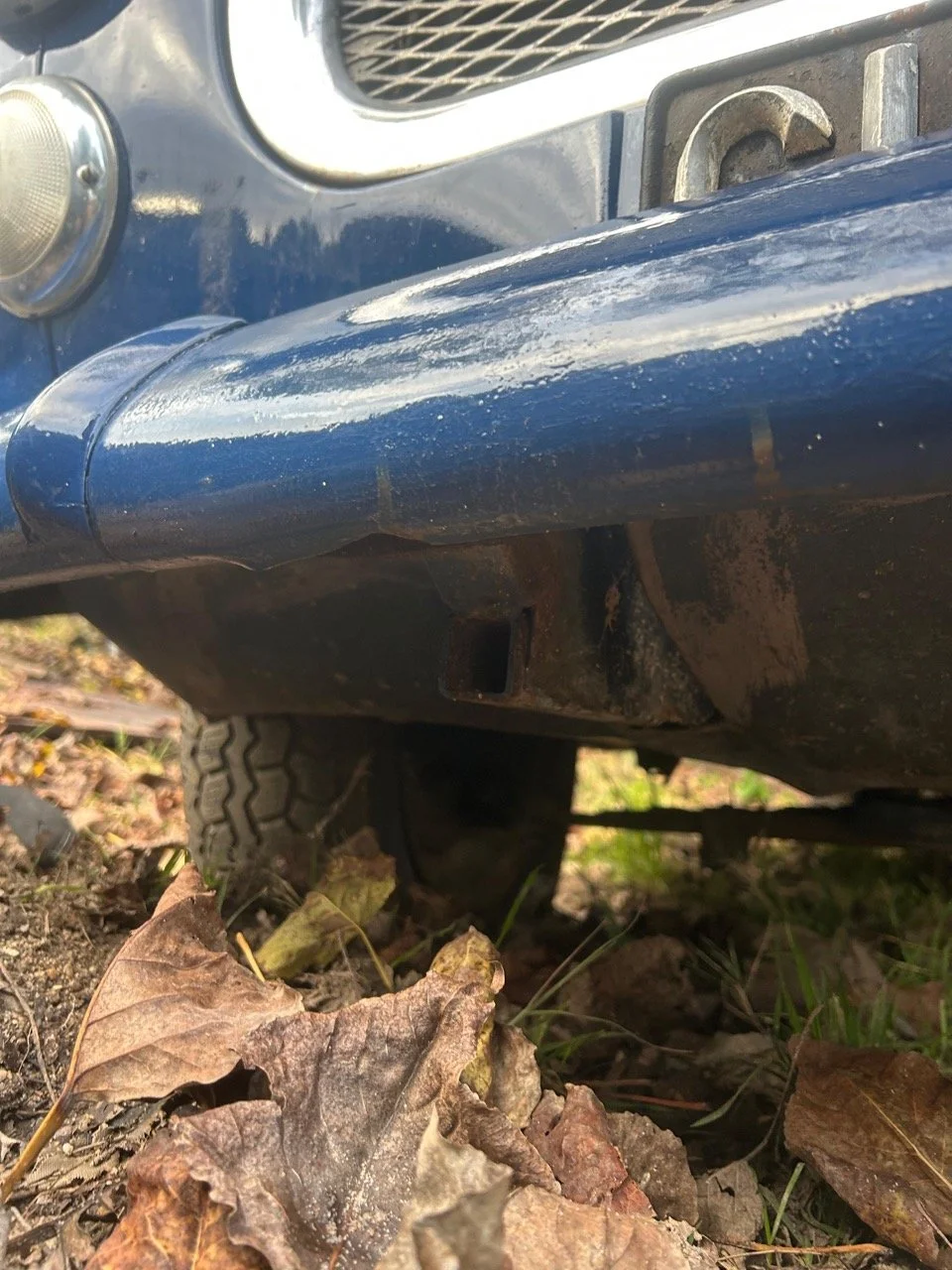 22d4ba3a-44f0-4328-8941-542736d8908a – grande.jpeg