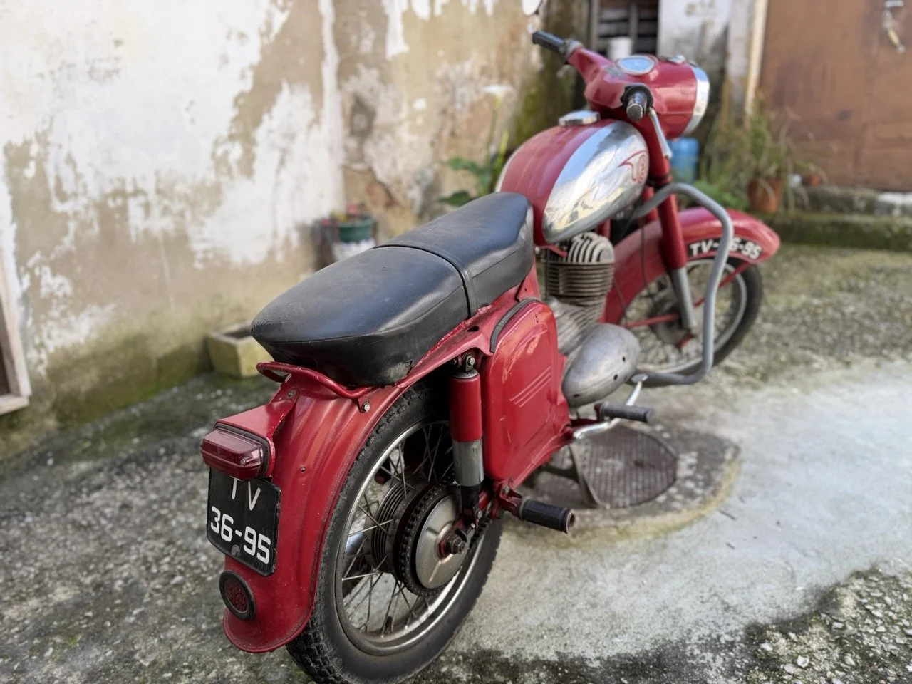 IMG_5901 – grande.jpeg