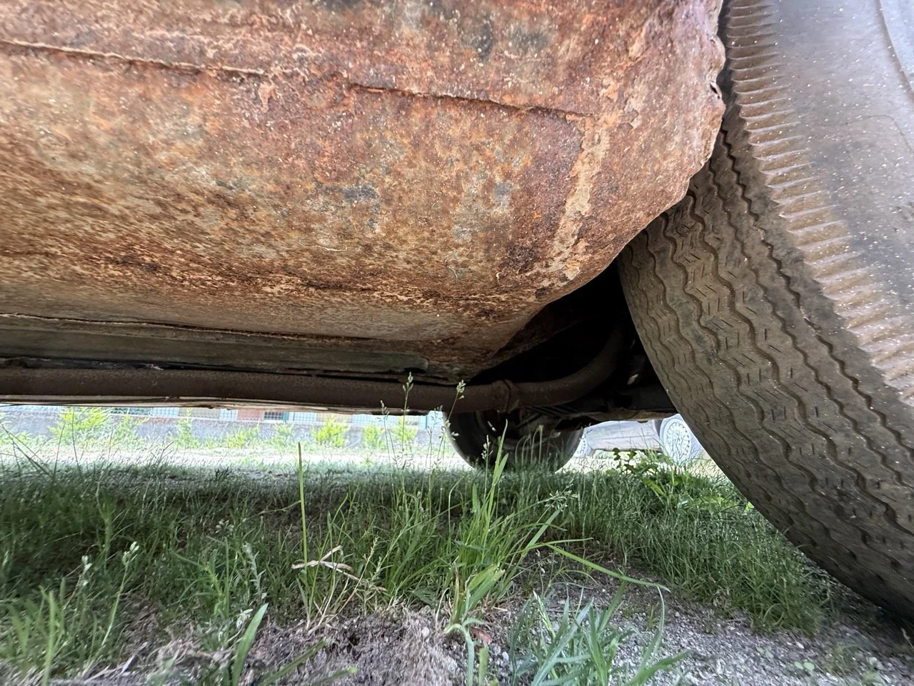 IMG_1413 – grande.jpeg