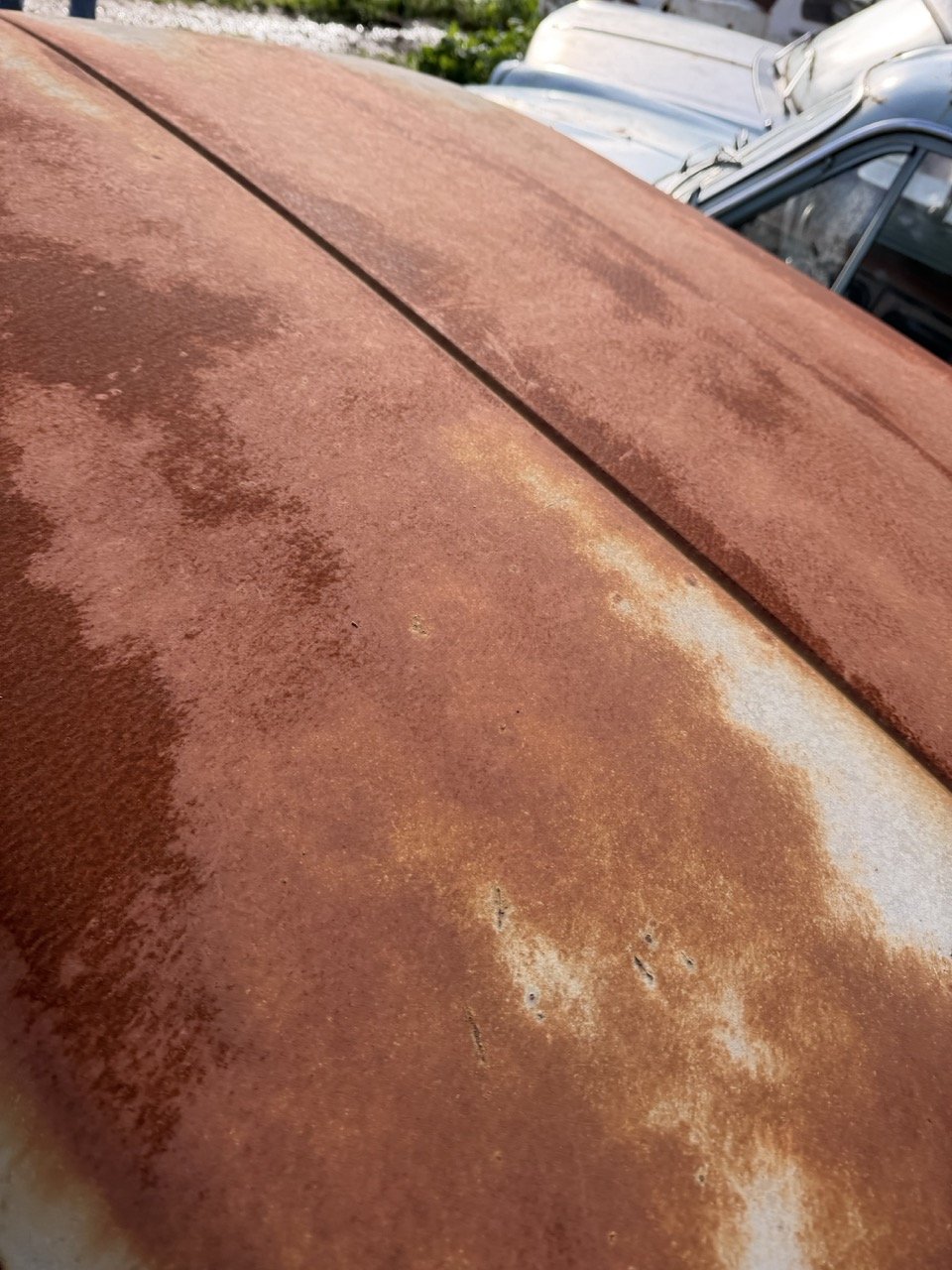 IMG_8566 – grande.jpeg