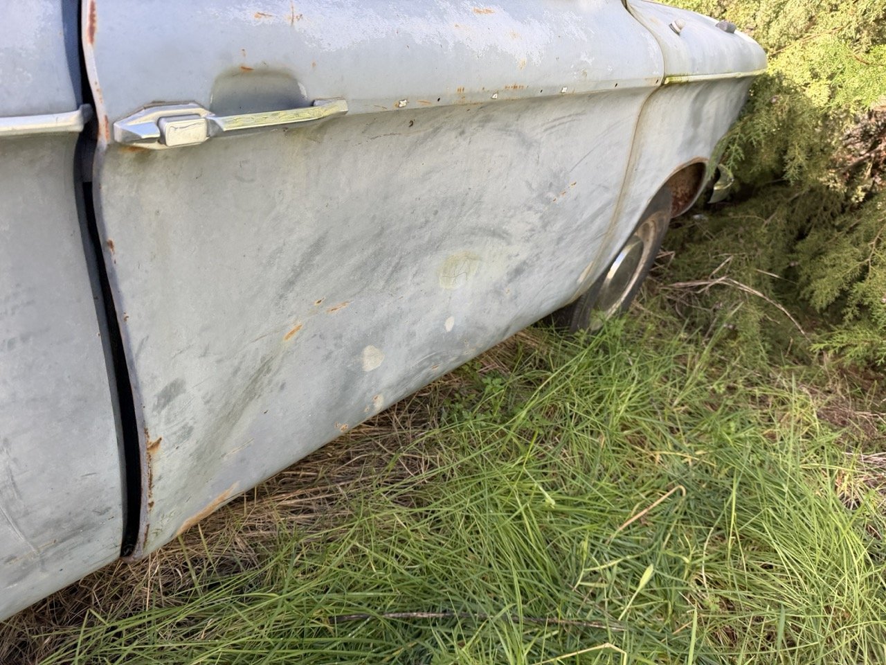 IMG_8554 – grande.jpeg