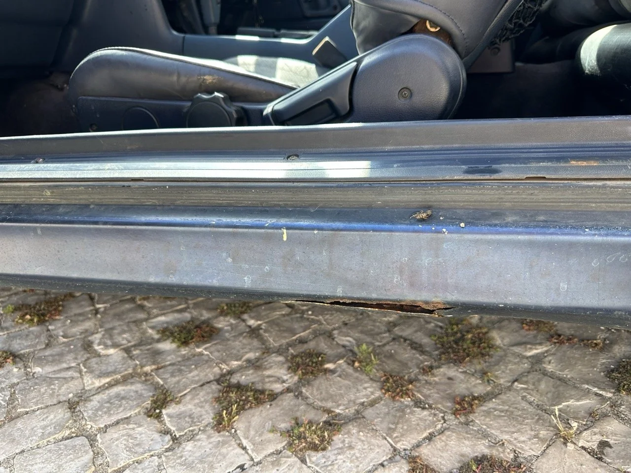 IMG_7267 – grande.jpeg