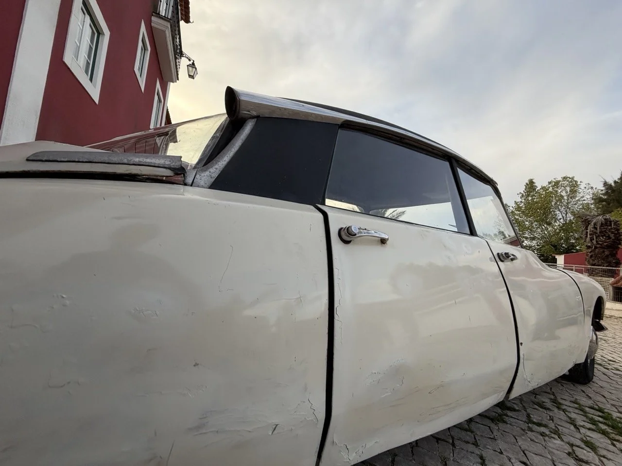 IMG_5995 2 – grande.jpeg