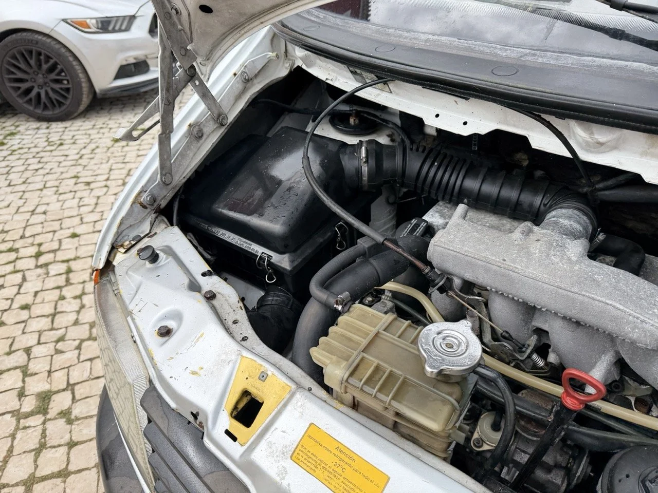 IMG_9559 – grande.jpeg