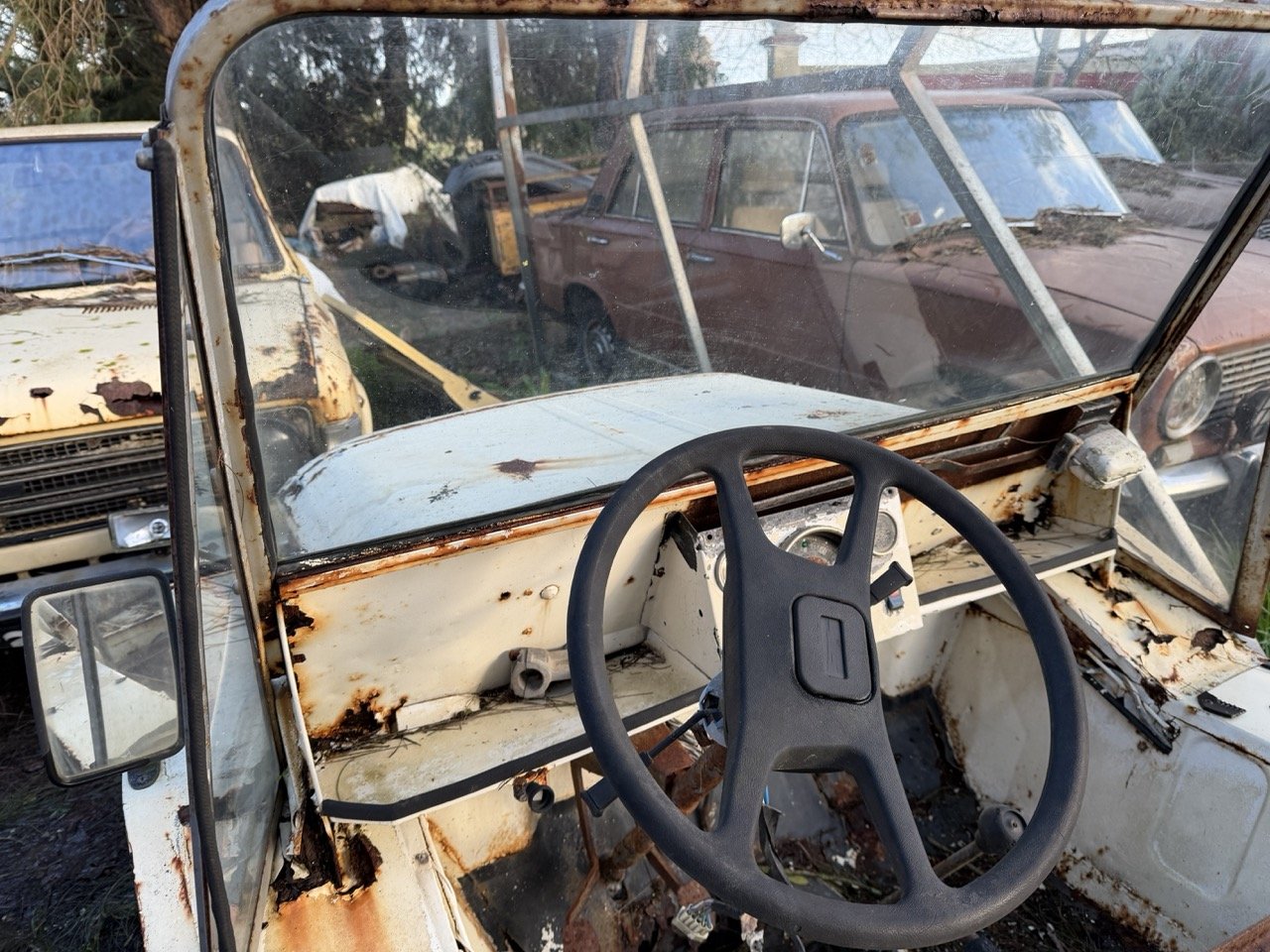 IMG_0898 – grande.jpeg