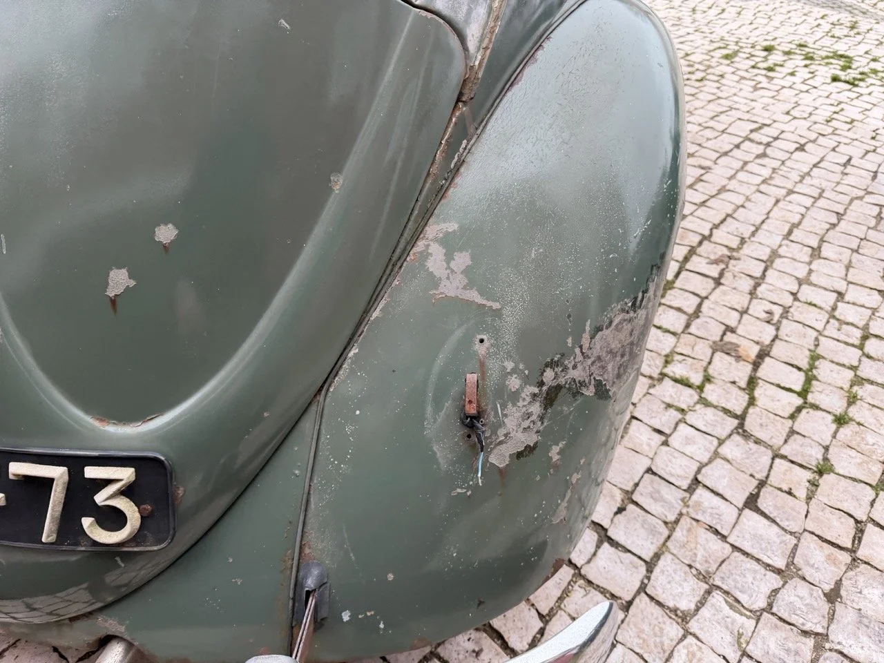 IMG_1224 – grande.jpeg