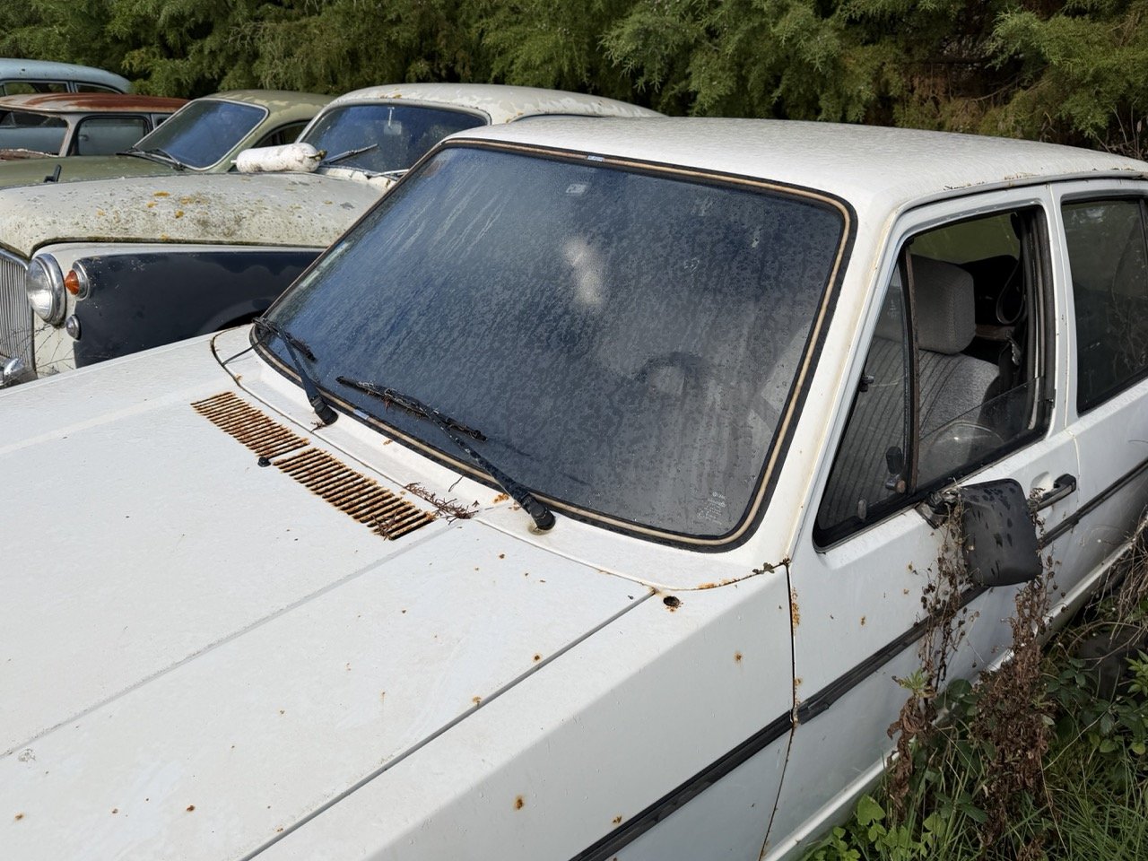 IMG_5176 – grande.jpeg