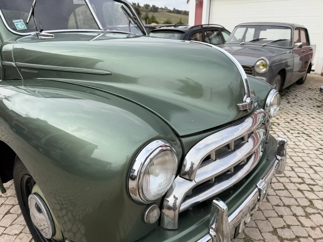 IMG_9848 – grande.jpeg