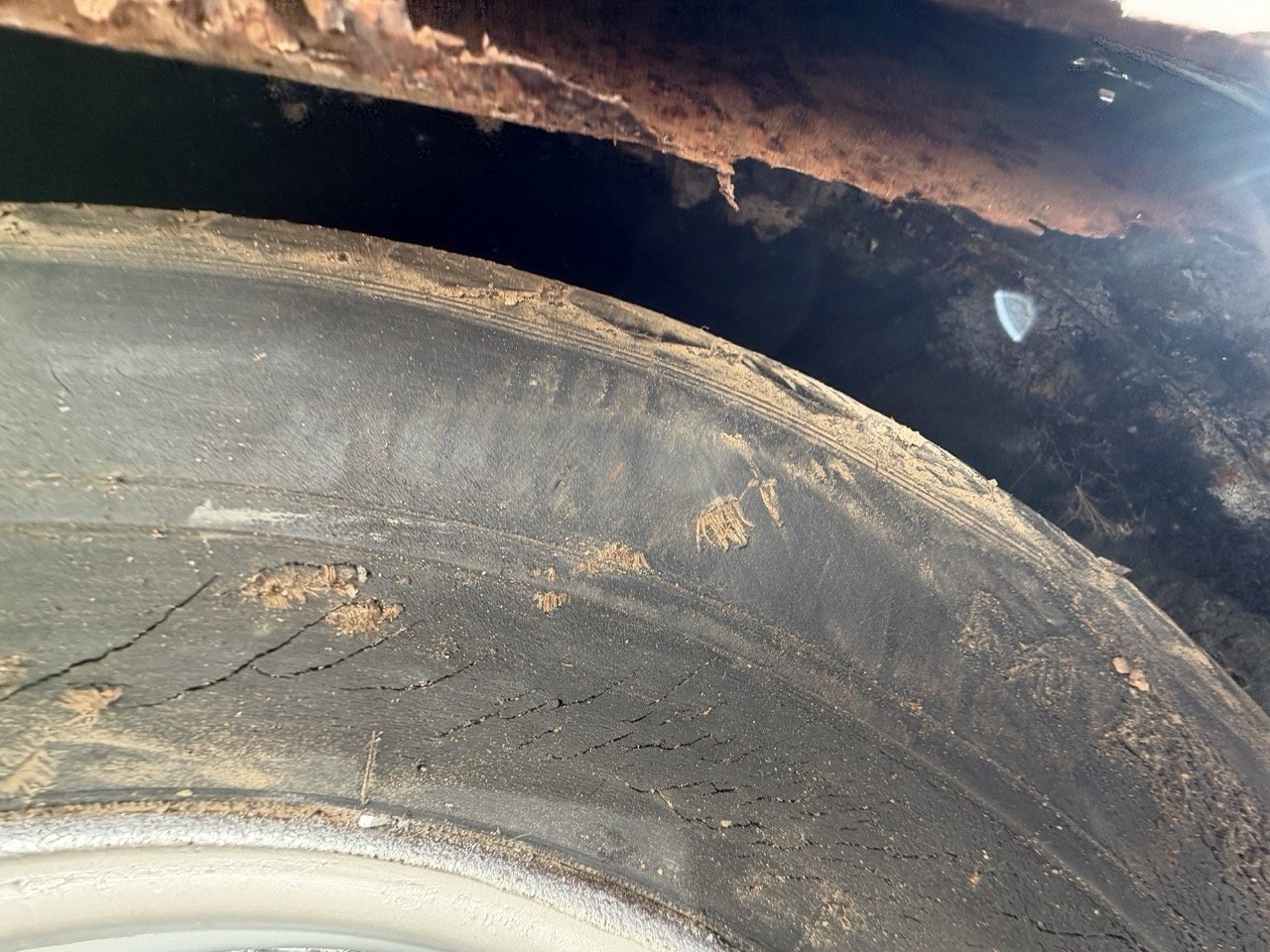 IMG_7073 – grande.jpeg