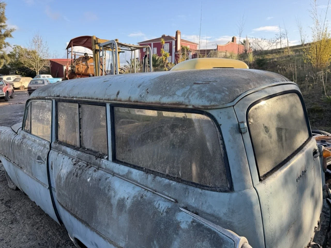 IMG_4049 – grande.jpeg