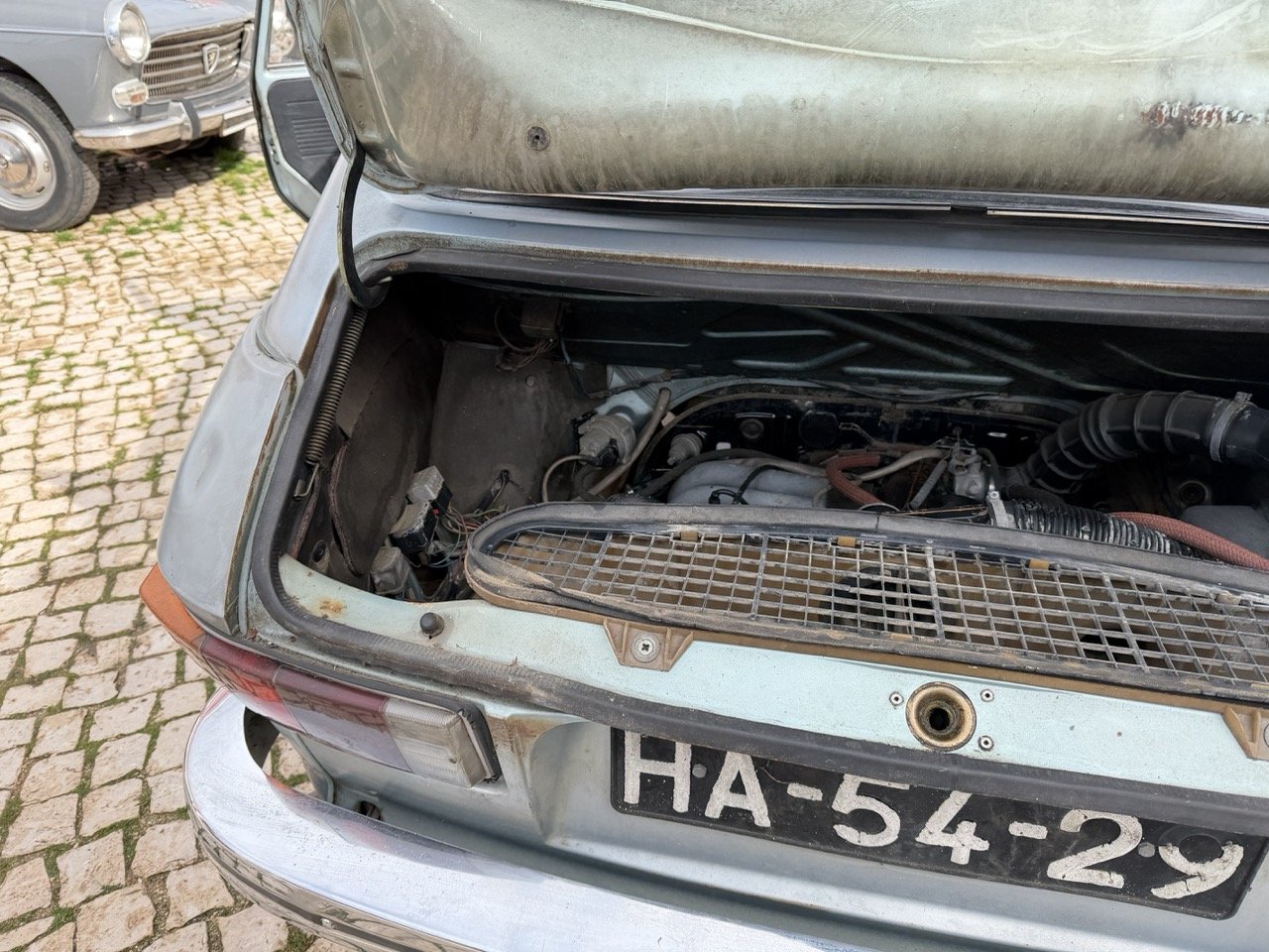 IMG_4803 – grande.jpeg