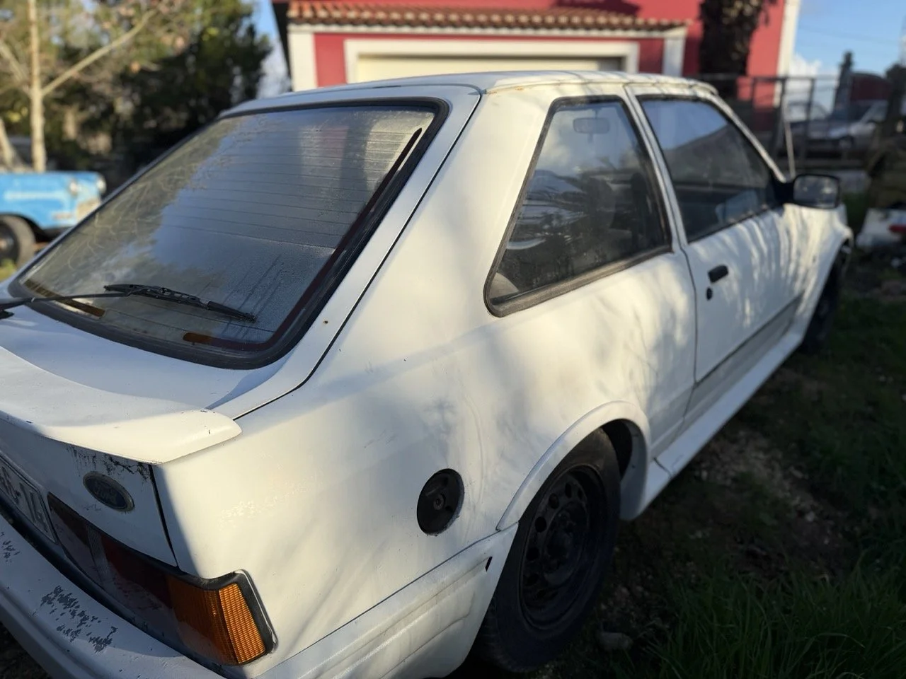 IMG_4093 – grande.jpeg