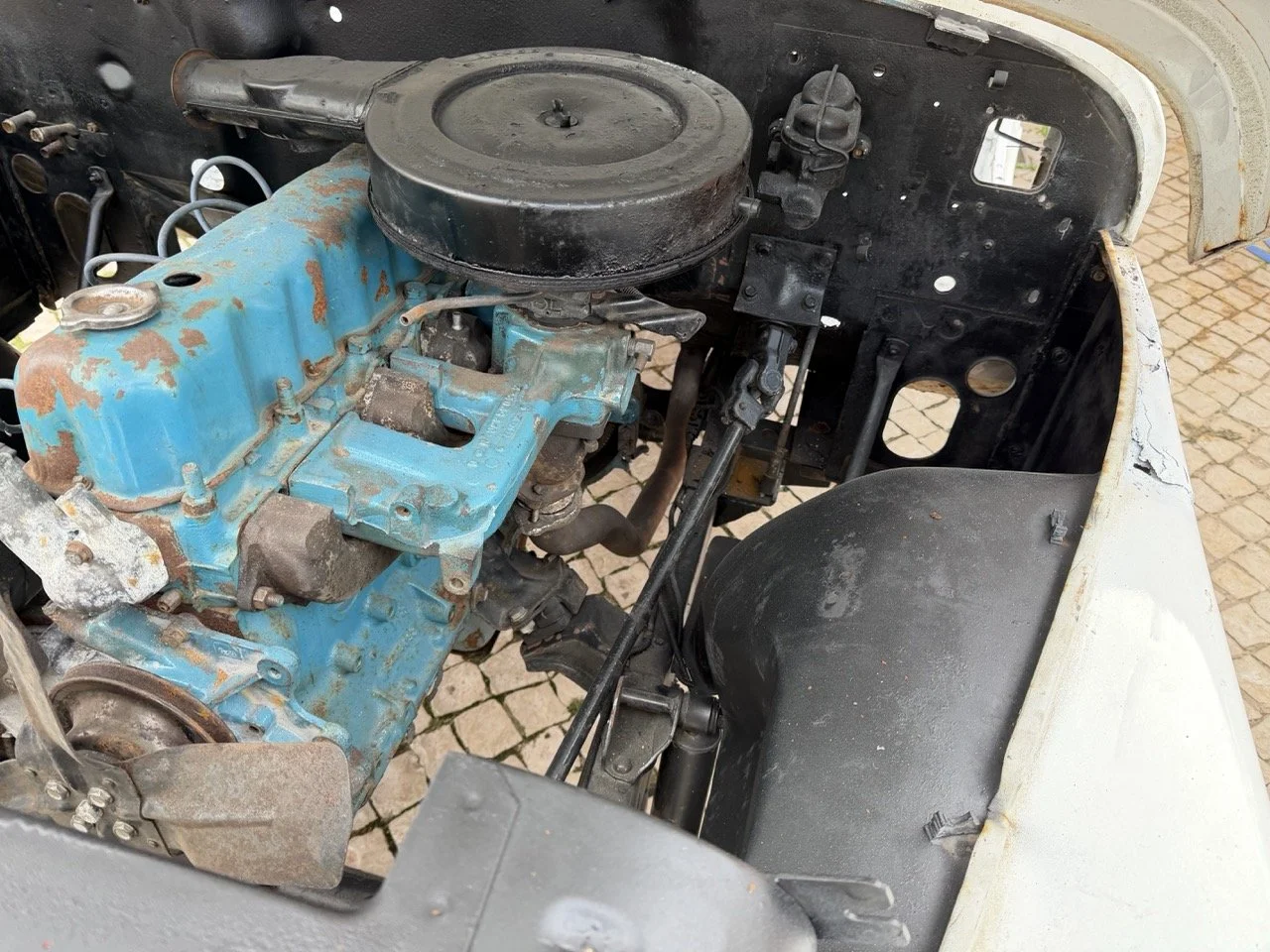 IMG_3940 – grande.jpeg