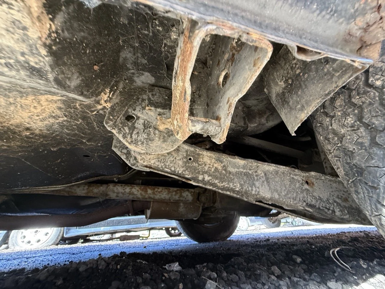 IMG_1225 – grande.jpeg