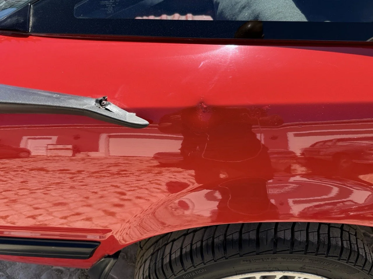 IMG_2129 – grande.jpeg