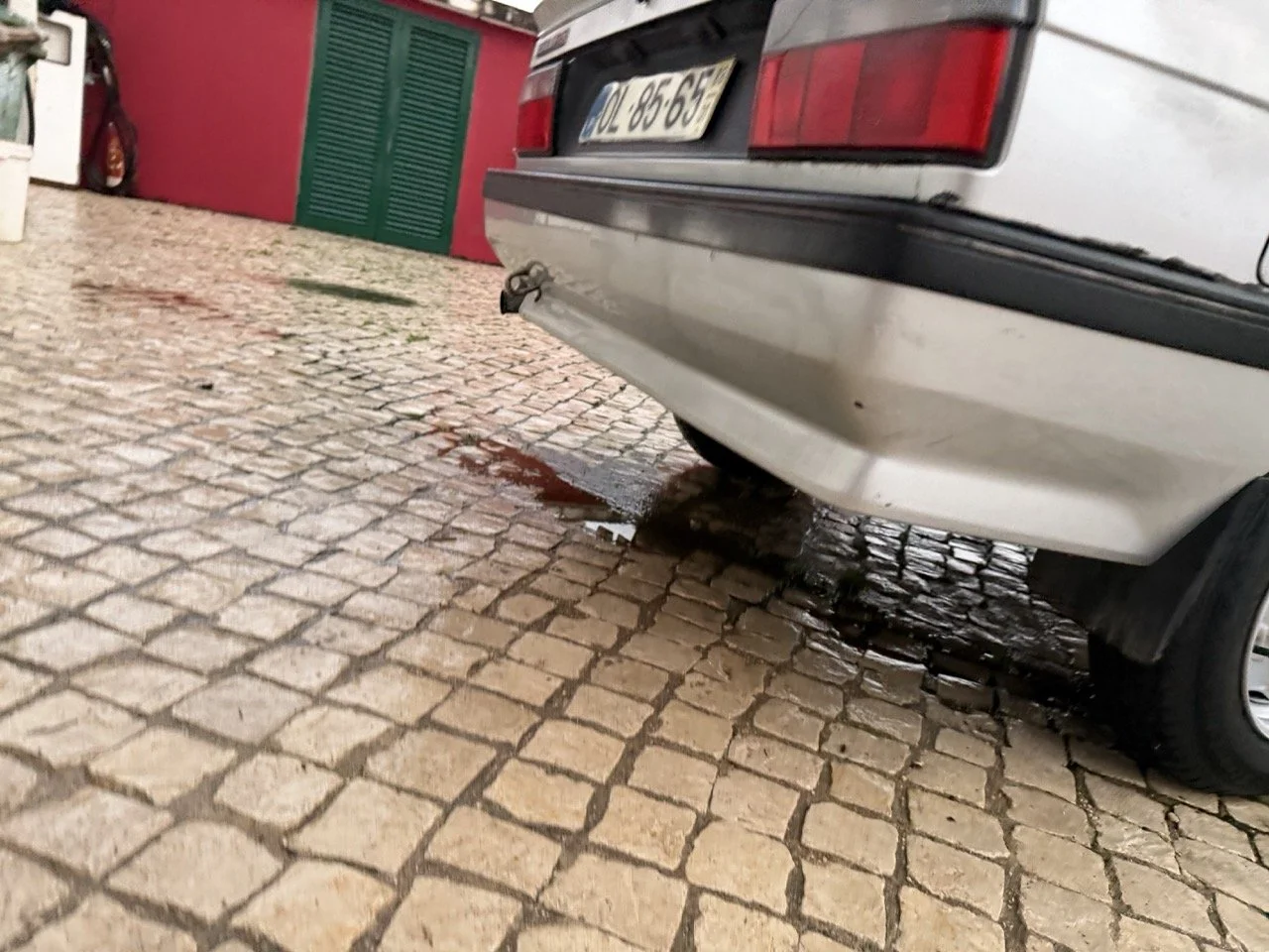 IMG_4767 3 – grande.jpeg