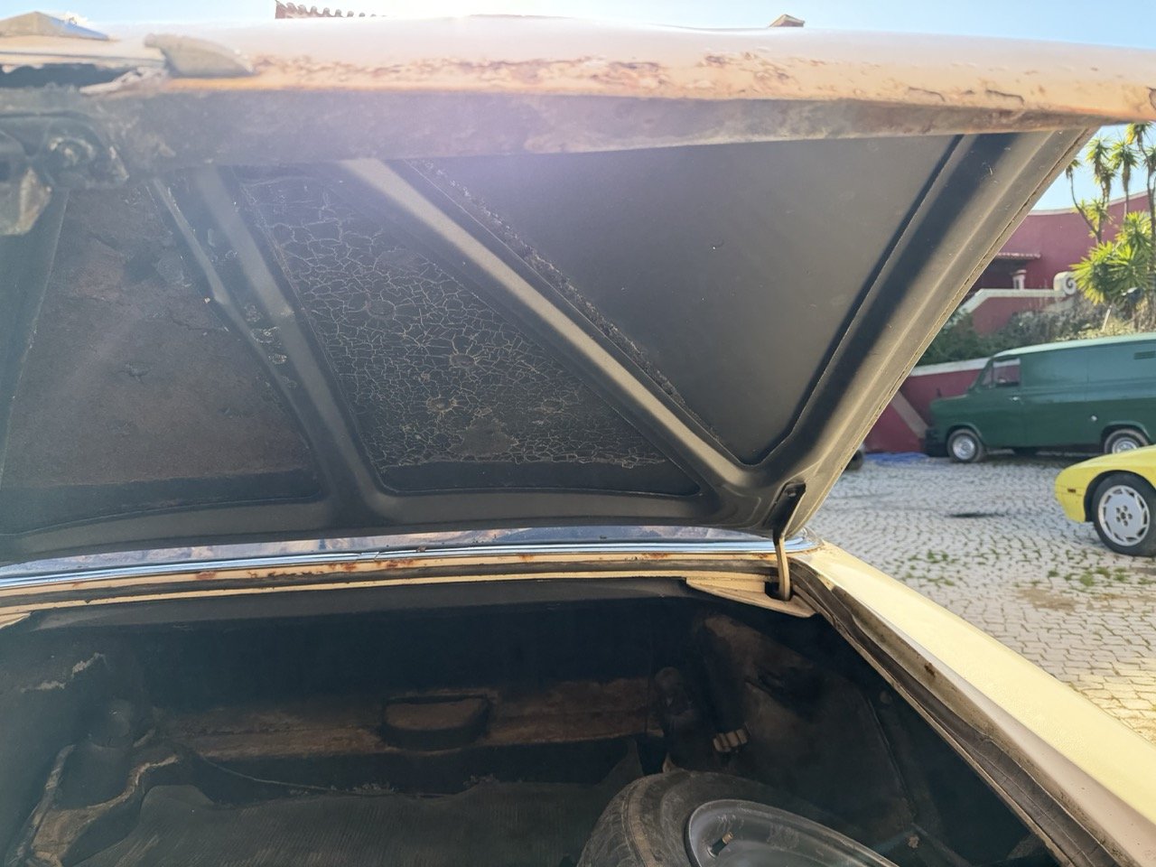 IMG_7092 – grande.jpeg