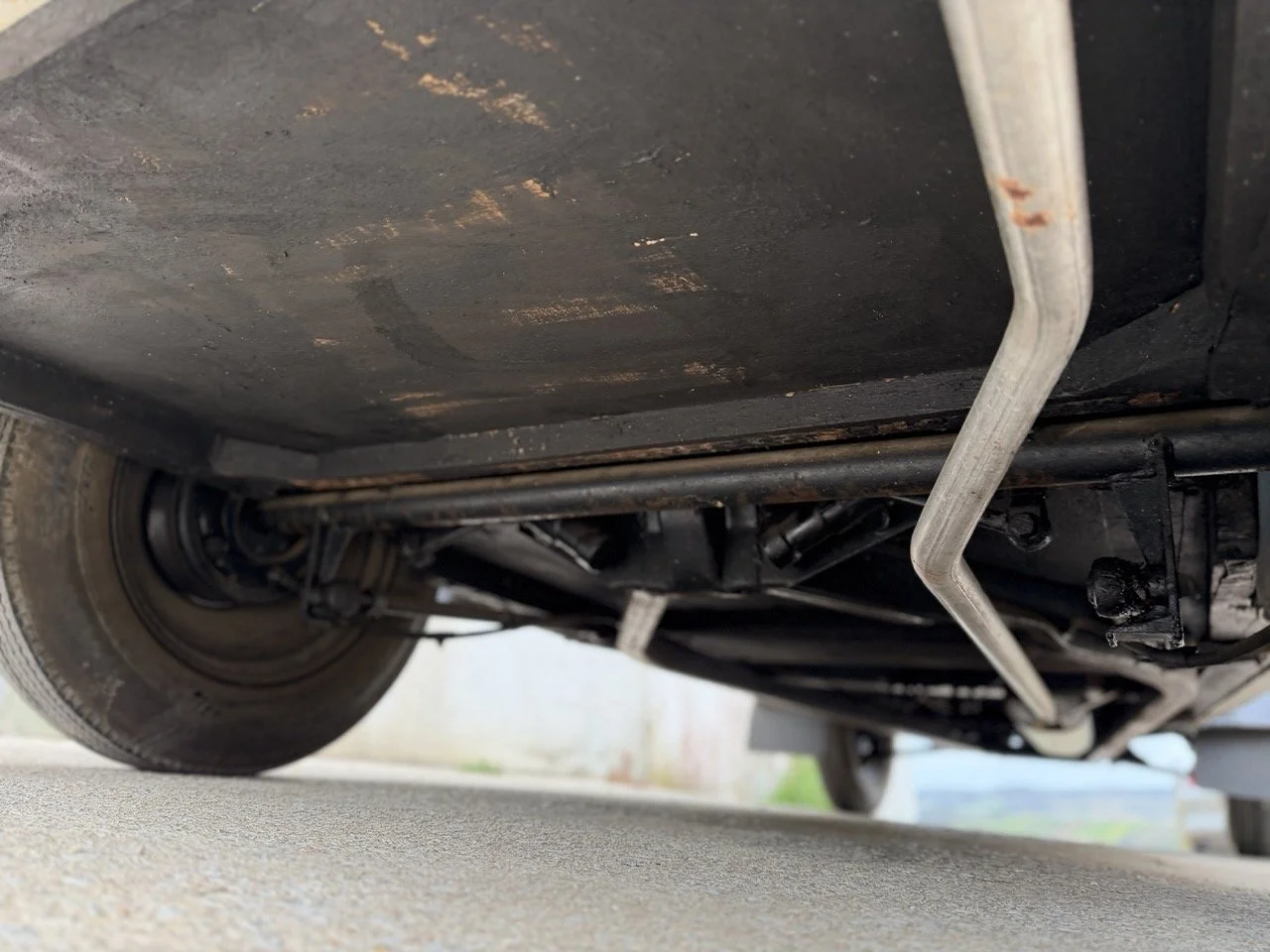 IMG_1485 – grande.jpeg