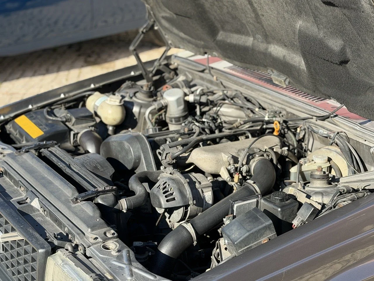 IMG_1975 – grande.jpeg