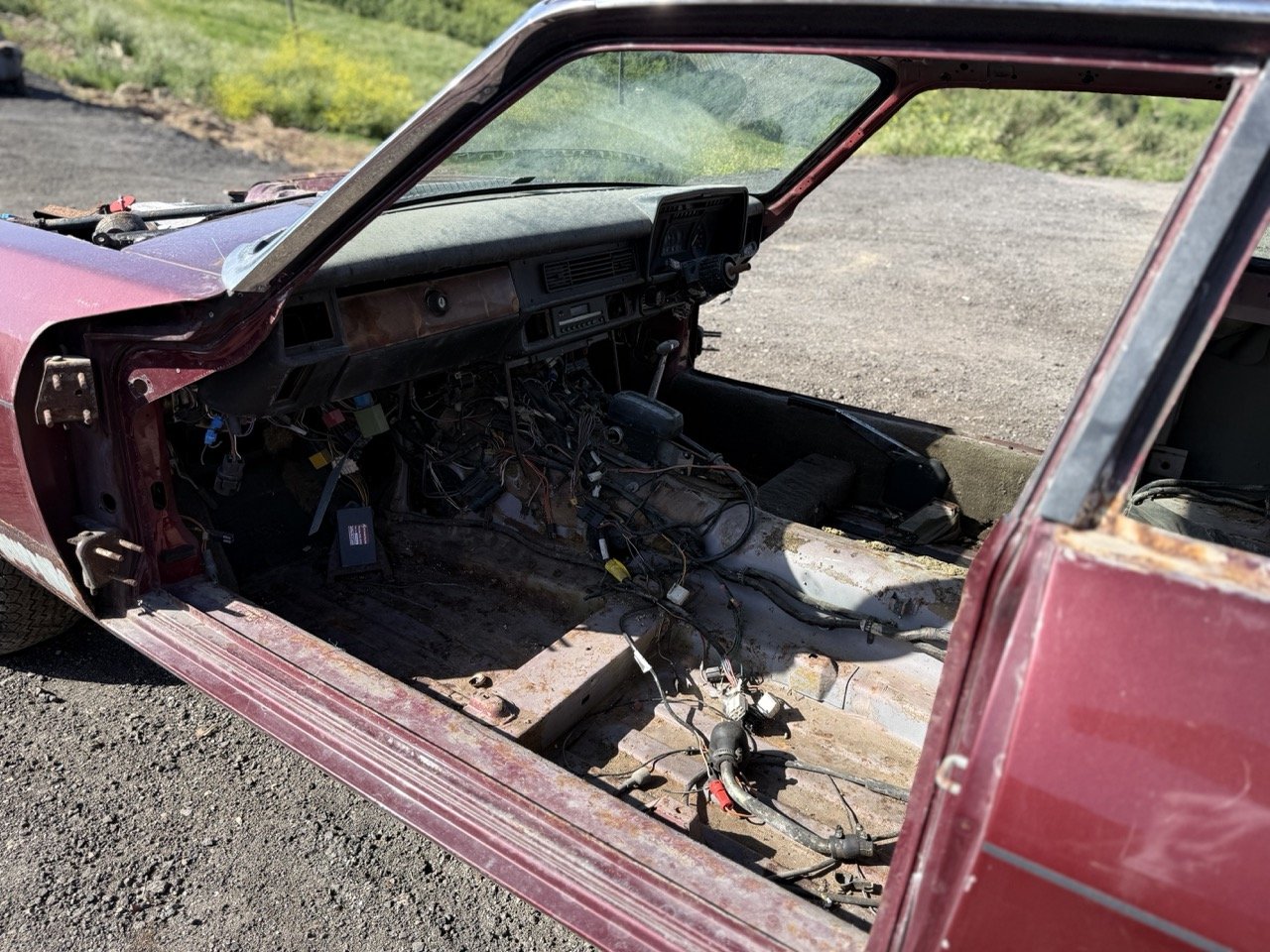 IMG_2975 – grande.jpeg