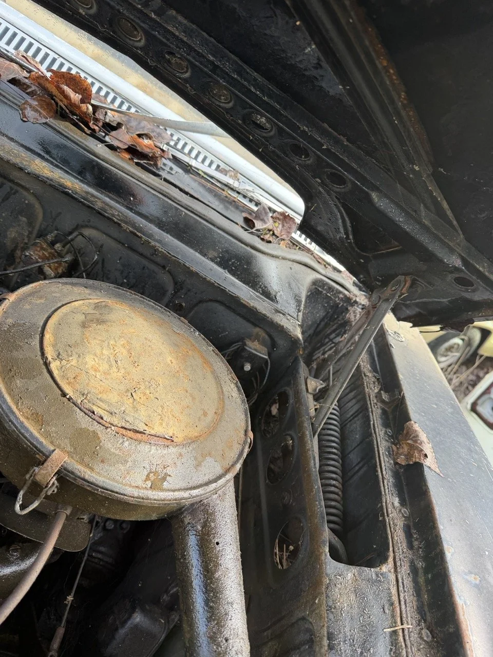 IMG_5098 – grande.jpeg