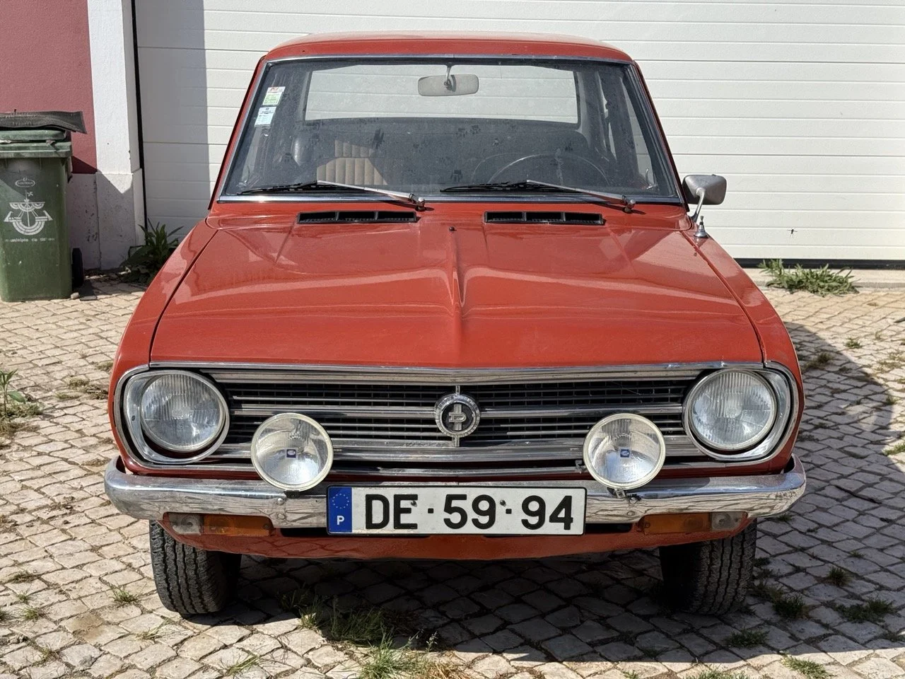 IMG_3584 – grande.jpeg