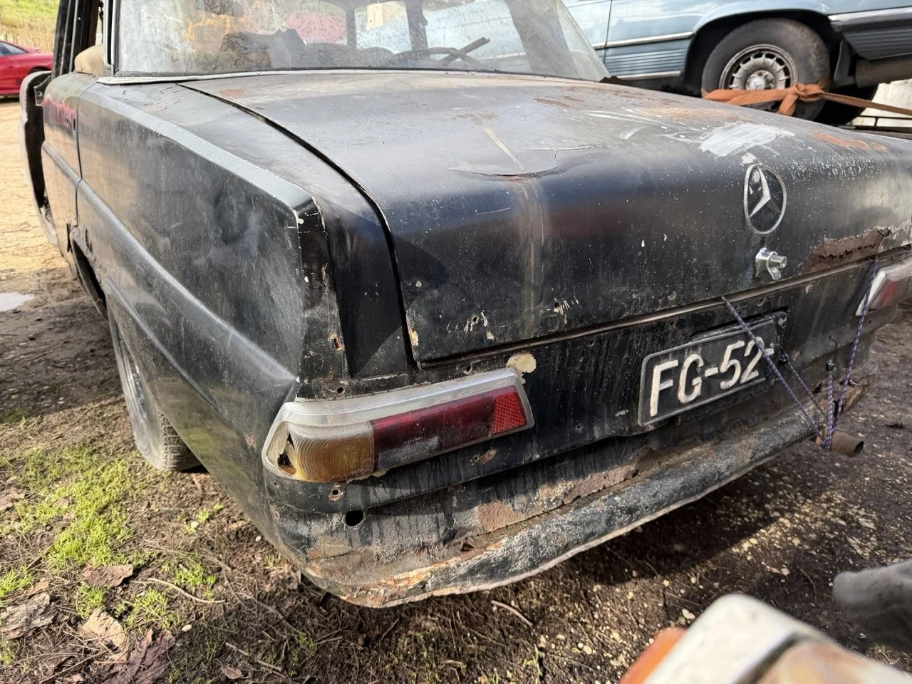 IMG_5235 – grande.jpeg