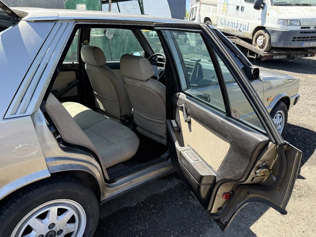 IMG_1936 – grande.jpeg