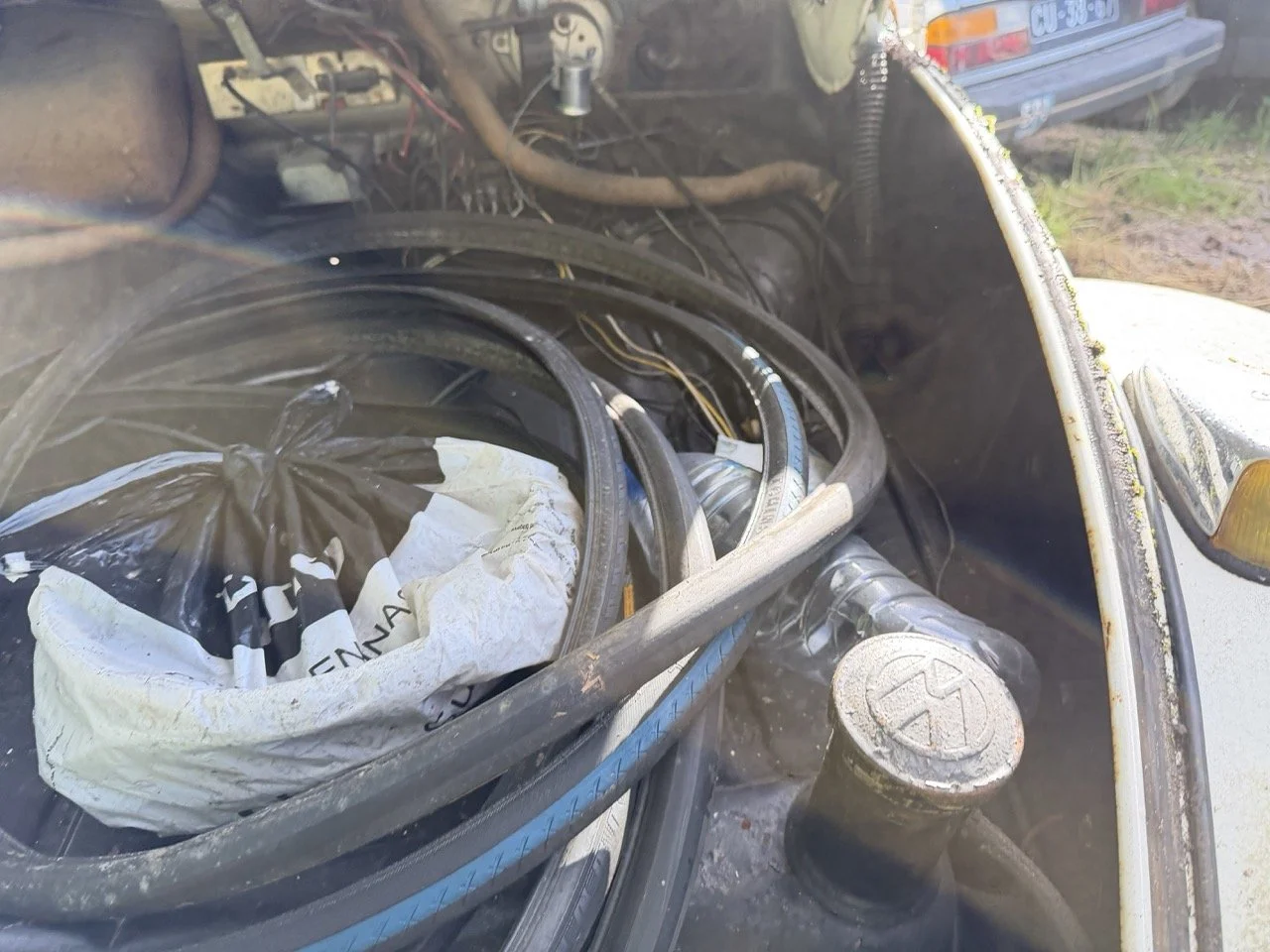 IMG_8610 – grande.jpeg