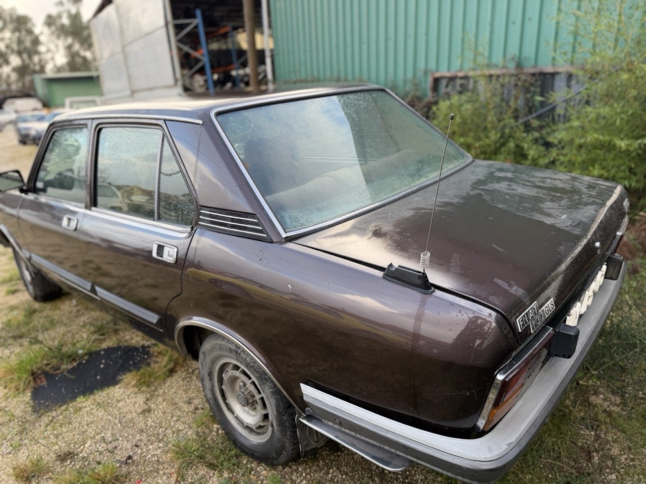 IMG_5243 – grande.jpeg