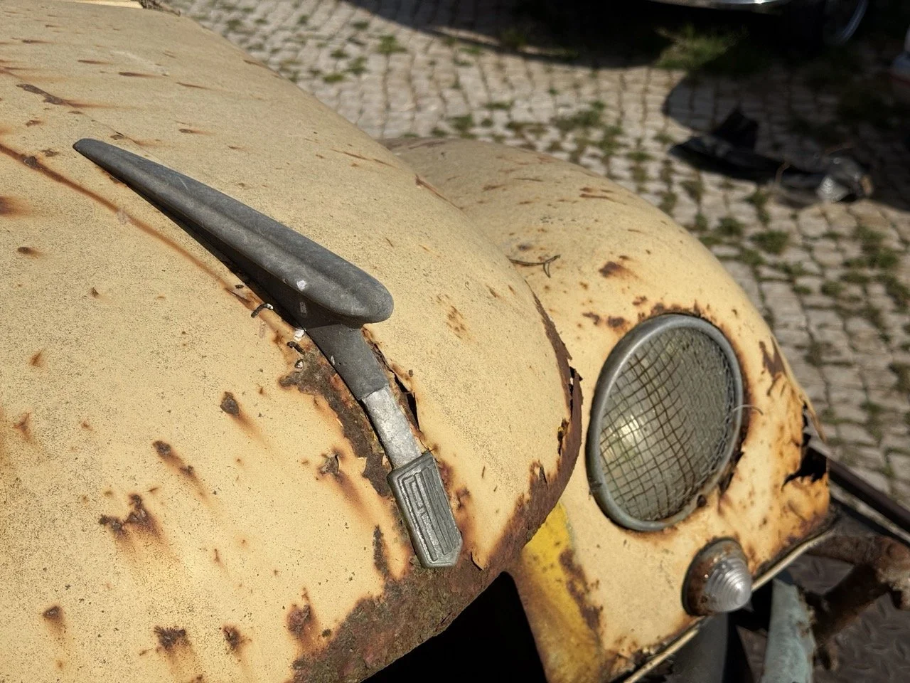 IMG_3176 – grande.jpeg