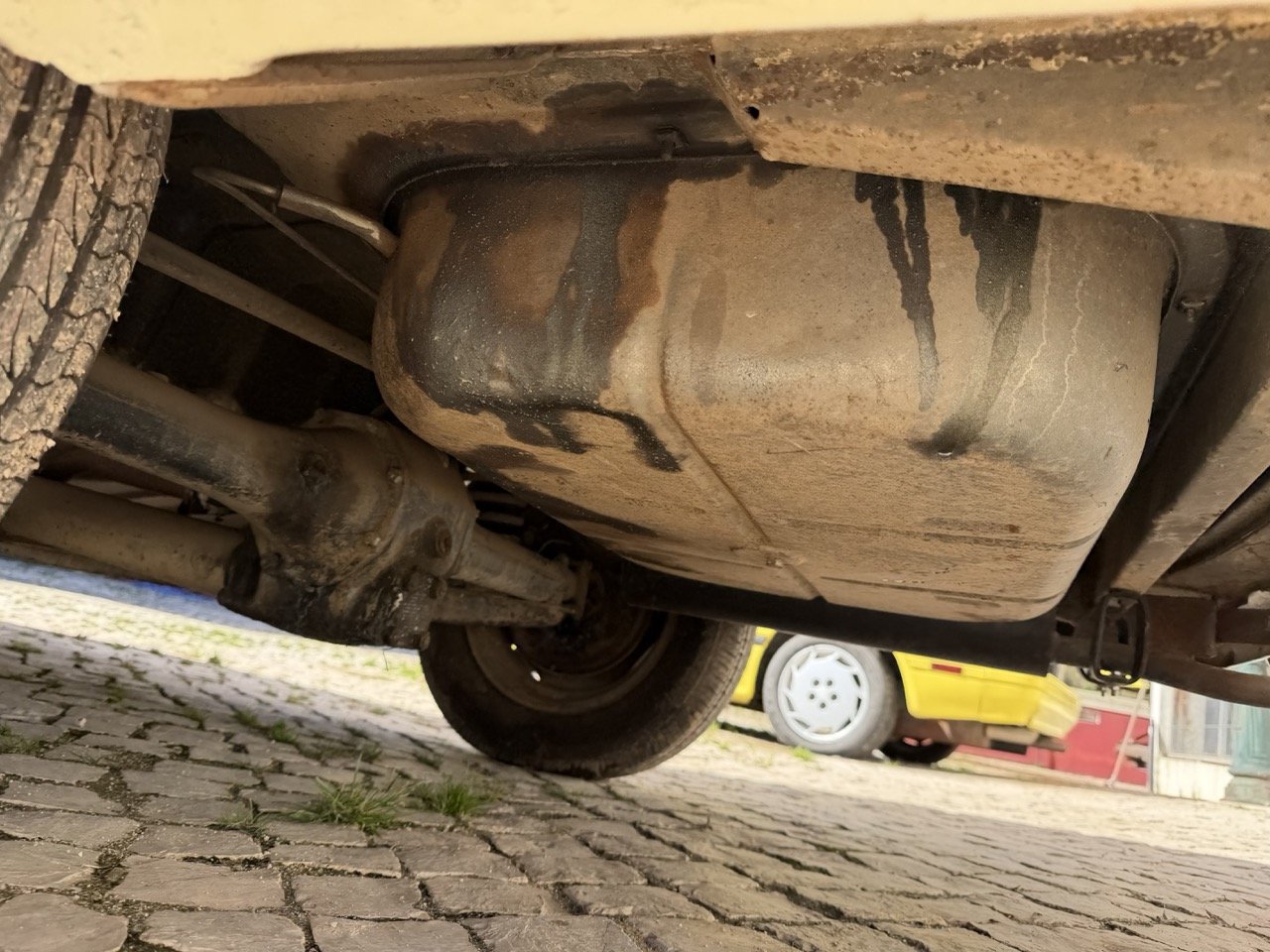 IMG_6755 – grande.jpeg