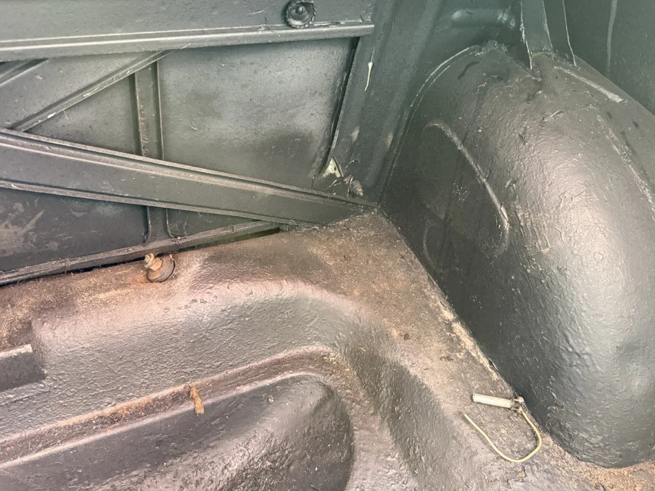 IMG_3533 – grande.jpeg