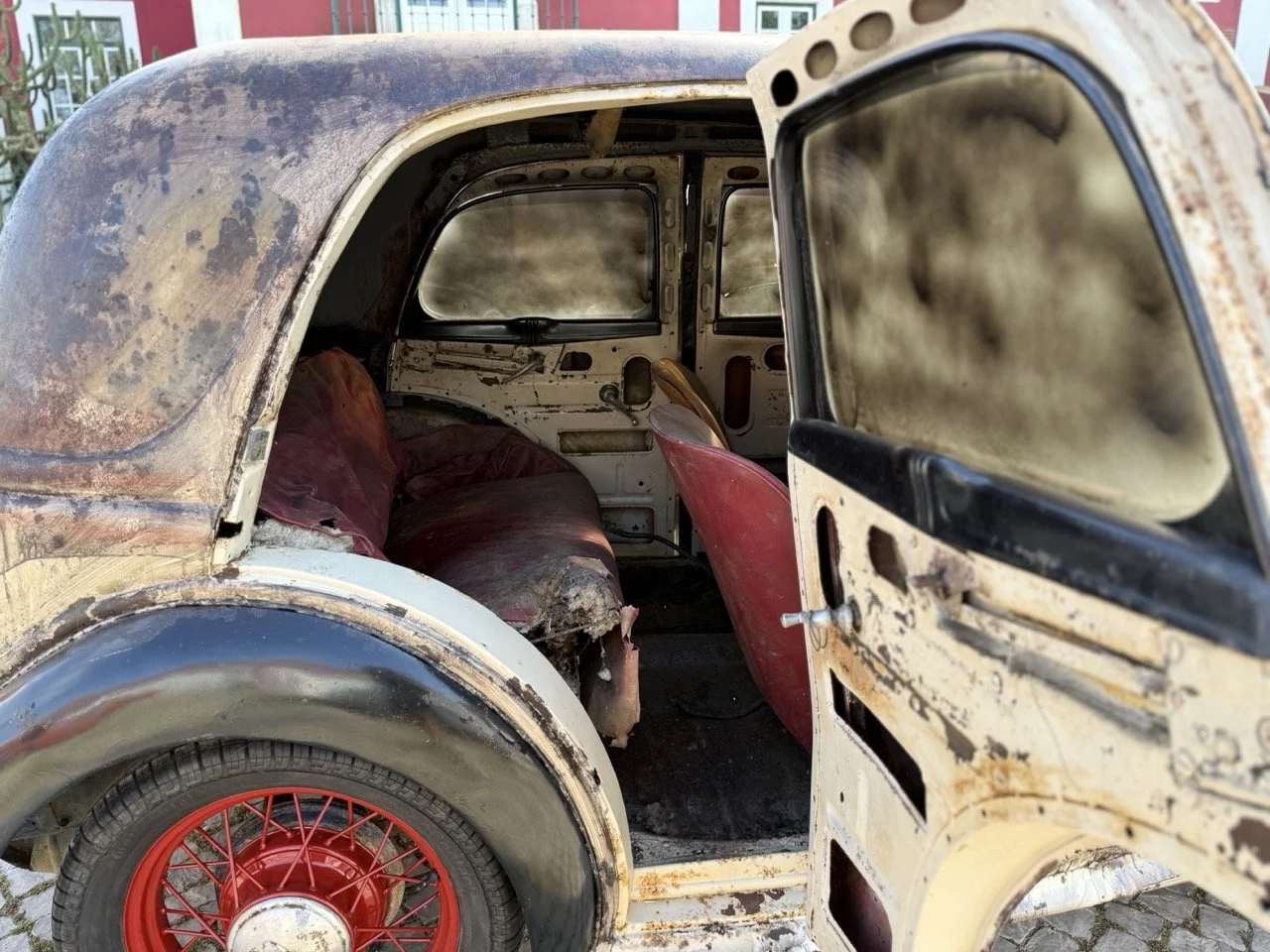 IMG_3694 – grande.jpeg